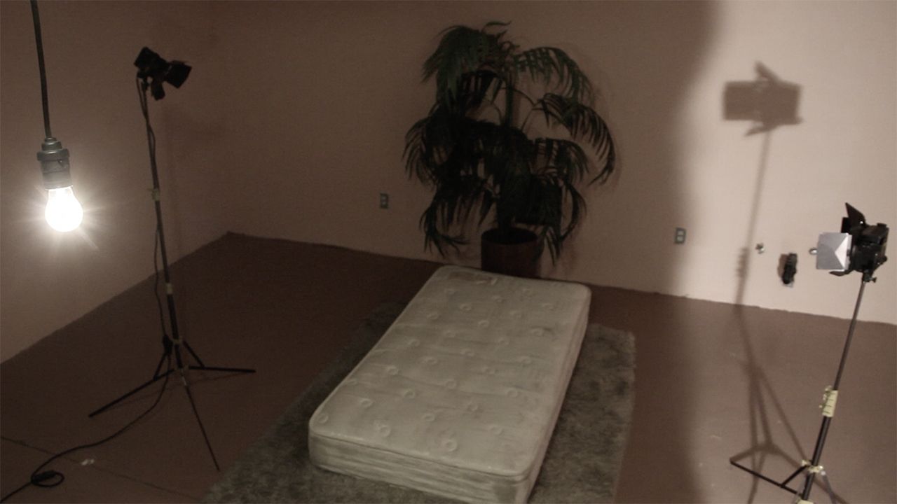 THE HOUSE WITH 100 EYES